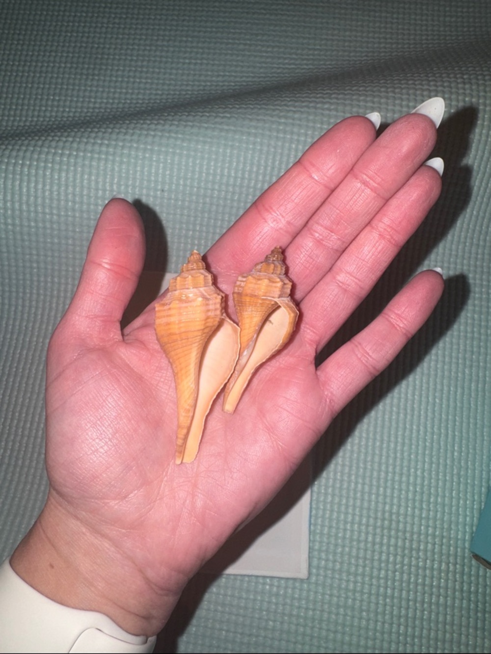 Beach Shells & Sea Glass - Picture 2 of 4